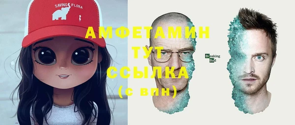 ECSTASY Алзамай