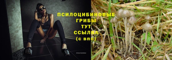 а пвп мука Алексин