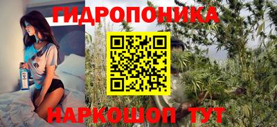 spice Можга