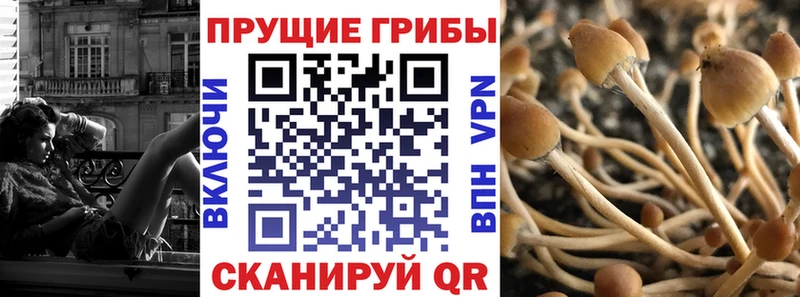 Галлюциногенные грибы мухоморы  Южно-Сахалинск 